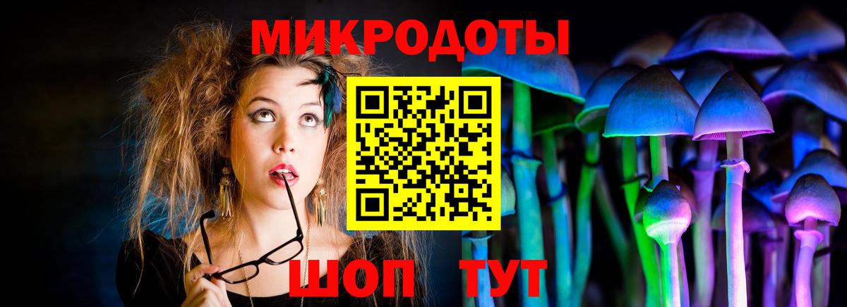 Псилоцибиновые грибы прущие грибы Казань